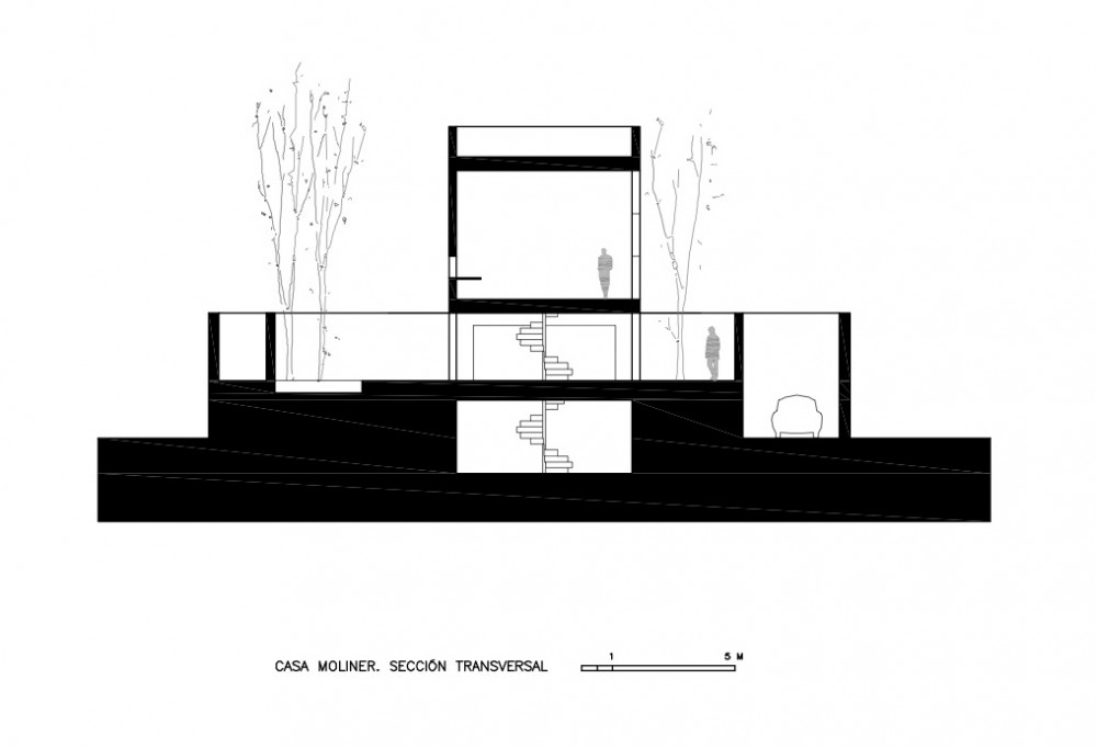 Moliner House - Alberto Campo Baeza section